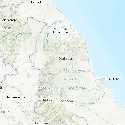 Map showing location of Jacarandas (19.495560, -96.852780)
