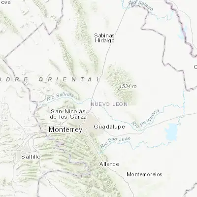 Map showing location of Portal de las Salinas (25.982220, -100.143330)