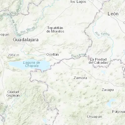 Map showing location of Vista Hermosa de Negrete (20.271690, -102.474880)