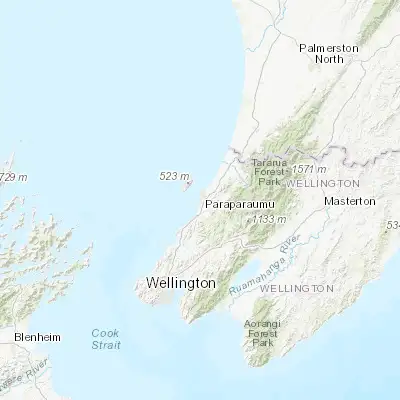 Map showing location of Raumati Beach (-40.916670, 174.983330)