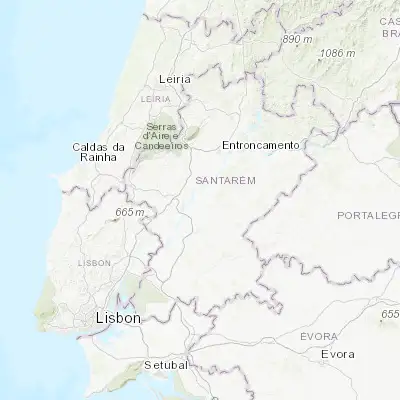 Map showing location of Alpiarça (39.257120, -8.581870)