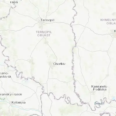 Map showing location of Kopychyntsi (49.103000, 25.911640)
